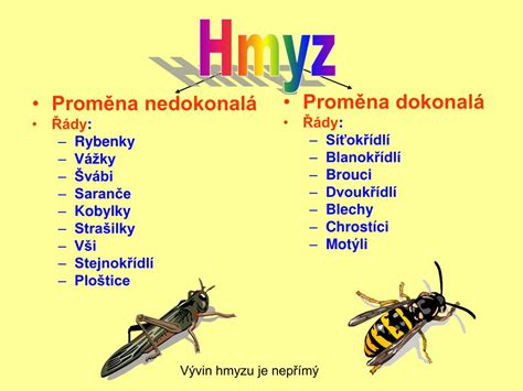 proměna dokonalá a nedokonalá rozdíl|Hmyz s proměnou nedokonalou – Procvičování online。